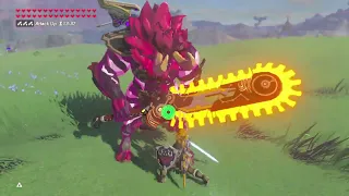 Hardest Calamity Lynel | Botw Relics of the Past