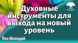 Урок для женщин. Духовные инструменты для выхода на новый уровень. Лея Молодой