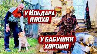 Дела у Ильдара плохи... | Оренбургская обл, г.Бугуруслан