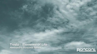 Tiesto elements of Life (Alessandra Roncone remix)