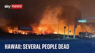 Hawaii wildfires: Several people dead after wildfires destroy large parts of town