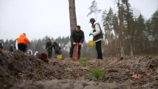 Ukraine and EU vow to plant three billion trees to fight climate change