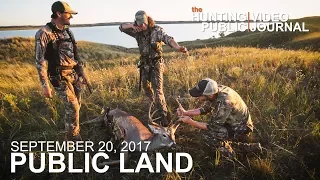 Public Land Day 7: Bedding Area Bow Kill, 10 Yard Shot | The Hunting Public