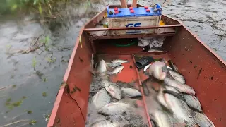 Use a jack to catch fish