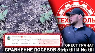 Подсолнечник посеянный по No-till и Strip-till сравнение посевов