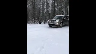 Автоподбор Subaru Forester и Nissan X-Trail