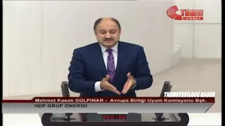 AVRUPA BİRLİĞİ UYUM KOMİSYONU BAŞKANI MEHMET KASIM GÜLPINAR MECLİS KONUŞMASI-17 TEMMUZ 2019