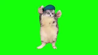 Cat dancing to girlfriend 1 hour green screen