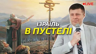 Життя ізраїльтян у пустині... ЖЕРТВИ С.Манелюк ПРЯМИЙ ЕФІР Брейн-ринг (с.Антонівка та м.Рівне)