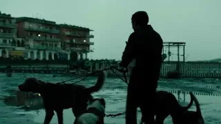 Dogman - Trailer español (HD)