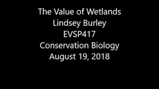 The Value of Wetlands Lindsey Burley