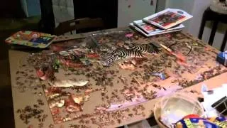 3000 piece Ravensburger Puzzle "African Animals" - Time Lapse