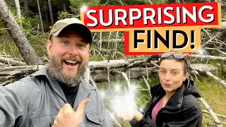 Mushroom Foraging on the Isle of Skye, Scottish Highlands - Surprise Find + Painting An Orchid Ep33