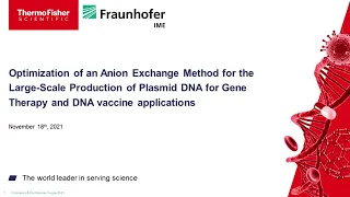 Optimization of an Anion Exchange Method for the Large Scale Production of Plasmid DNA