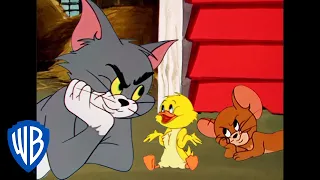 Tom & Jerry | Quack, Quack, Little Quacker! | Classic Cartoon Compilation | WB Kids