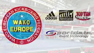 Magomed Abdurakhmanov v Dobroslav Radev WAKO European Championships 2017
