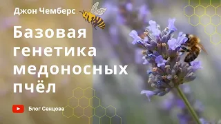 Базовая генетика медоносных пчел для пчеловодов (Джон Чемберс)