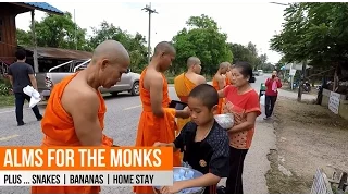 Alms for the Monks