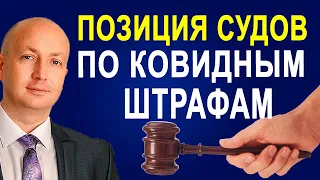 Судебная практика по административным протоколам по ст.44-3 за маски и отсутствие сертификата