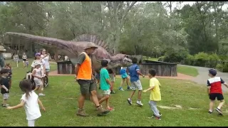 Dinosaur, in reptile park australia, amazing