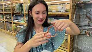 UNPACKING A NEW SNAKE / Alice feeds the reptiles