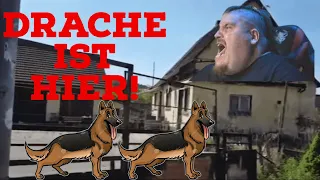 Die Haider-Hunde sind wieder da