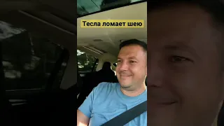 Тесла ломает шею