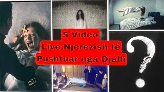 5 VIDEO LIVE NJEREZISH TE PUSHTUAR NGA DJALLLI