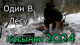 + 5 ШТУК. НЕ ОЖИДАЛ ТАКОГО ПОД ВЕЧЕР. ЭКСПЕРИМЕНТ; СТАВЛЮ ЯЧЕЮ 40мм. НЫНЧЕ Я ТУТ ВПЕРВЫЕ.