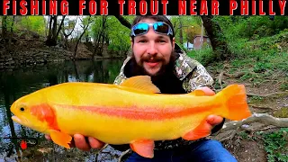 Trout Fishing Near Philly