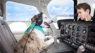 What A SAFE Pilot!