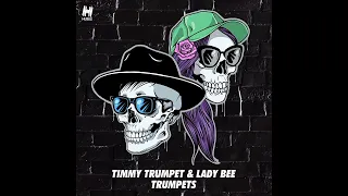 Intro vs Hipsta vs Mufasa vs Head & Heart (Timmy Trumpet Top 100 Djs 2020 Mashup)| Dark Styles