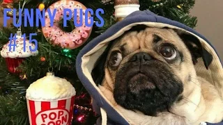Best of Doug the Pug compilation 2017 | Смешные мопсы 2017 нарезка