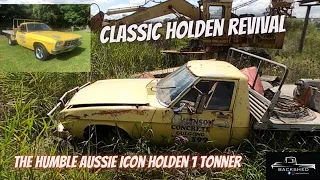 HOLDEN CLASSIC SURVIVOR FIND AND REVIVAL , PARKED FOR YEARS , WILL IT RUN AND DRIVE AGAIN ?