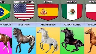 Horse Breeds From Different Countries