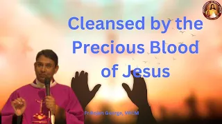 Day 2 ~ Cleansed by the Precious Blood of Jesus ~ VRCM ~ Fr Rojan George