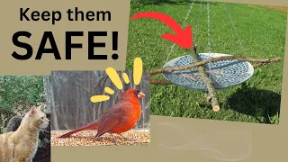 A Safe Bird Bath!  Attract birds!