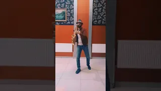 Любовь уставших лебедей sax version