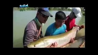 Doc Nielsen Donato encounters Thailand's giant fish | Born to be Wild