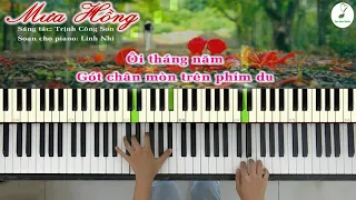 Mưa Hồng (Trịnh Công Sơn) | Piano cover | Linh Nhi