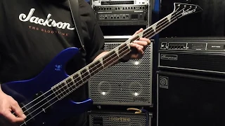 SEPULTURA - DESPERATE CRY BASS COVER