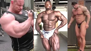 FLEXING BODYBUILDERS