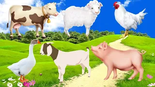 Farm Animals : Duck, Chicken, Buffalo, Goat, Pig, Cow, Sheep