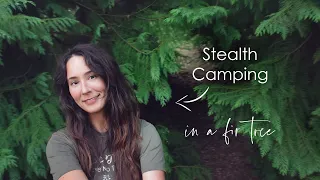 Stealth Camping in a Fir Tree 🌲