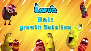 💖💖 LARVA Season 5 Episode 233 ~ 276 - New Cartoons 2023 🦋💥Comics ⚡🐛 Mini Series from Animation LARVA