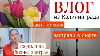 VLOG МАСТЕРА/ 🙈ЗАСТРЯЛИ В ЛИФТЕ/ ГОТОВЛЮ #влог #vlog #dailyvlog #покупки #влогмастера #буднимастера