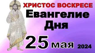 Включи прямо сейчас!  Евангелие дня 25 мая  2024 года