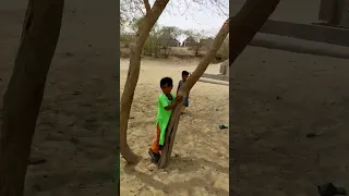 desert children Children are swinging on a tree in the Thar desert#villagelife #desertlife #thar