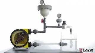 Pulsation Dampeners for Peristaltic & Hose Pumps