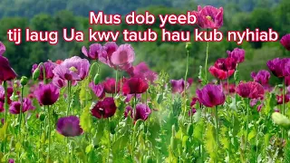 Neej neeg mus dob yeeb tij laug Ua kwv taub hau kub nyhiab 4-16-24 #video #hmong #hmongstories